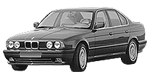 BMW E34 P1AEB Fault Code